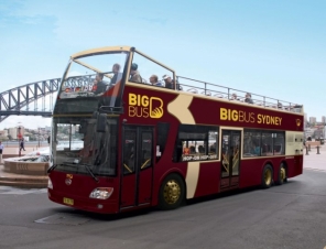 Big Bus and bridge